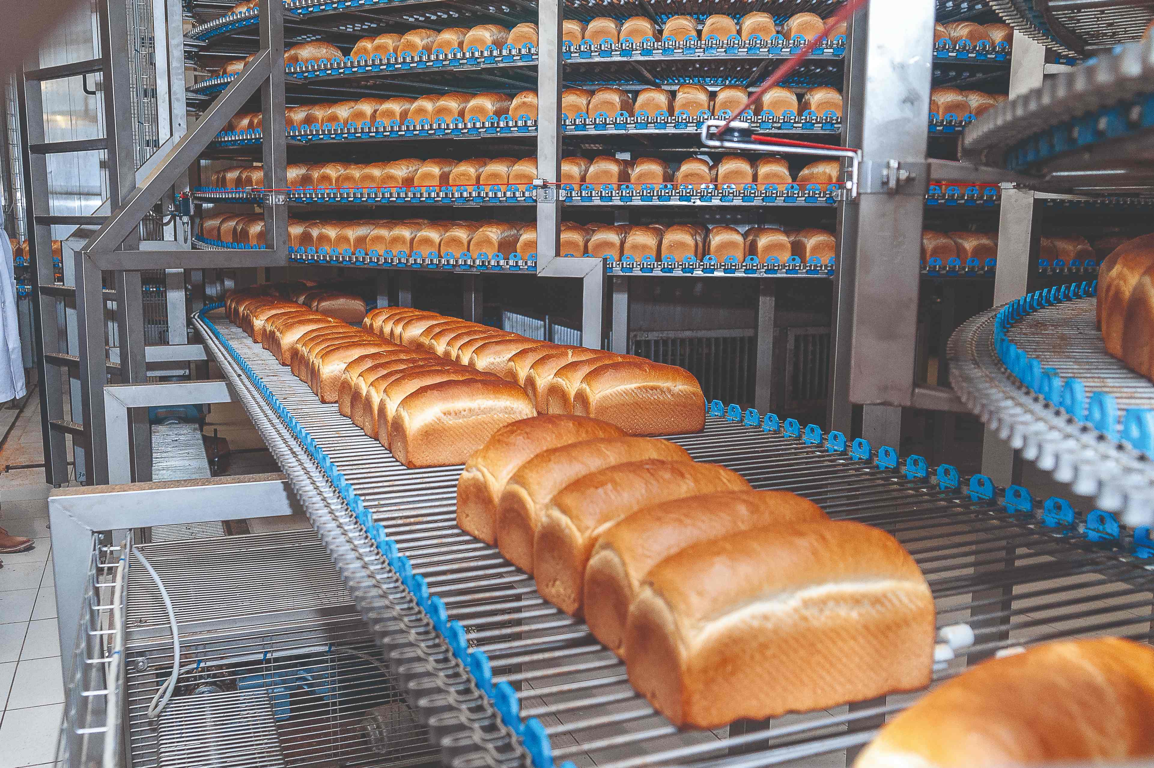 DPL Festive's Bread Line 3 with industrial bread racks and production equipment