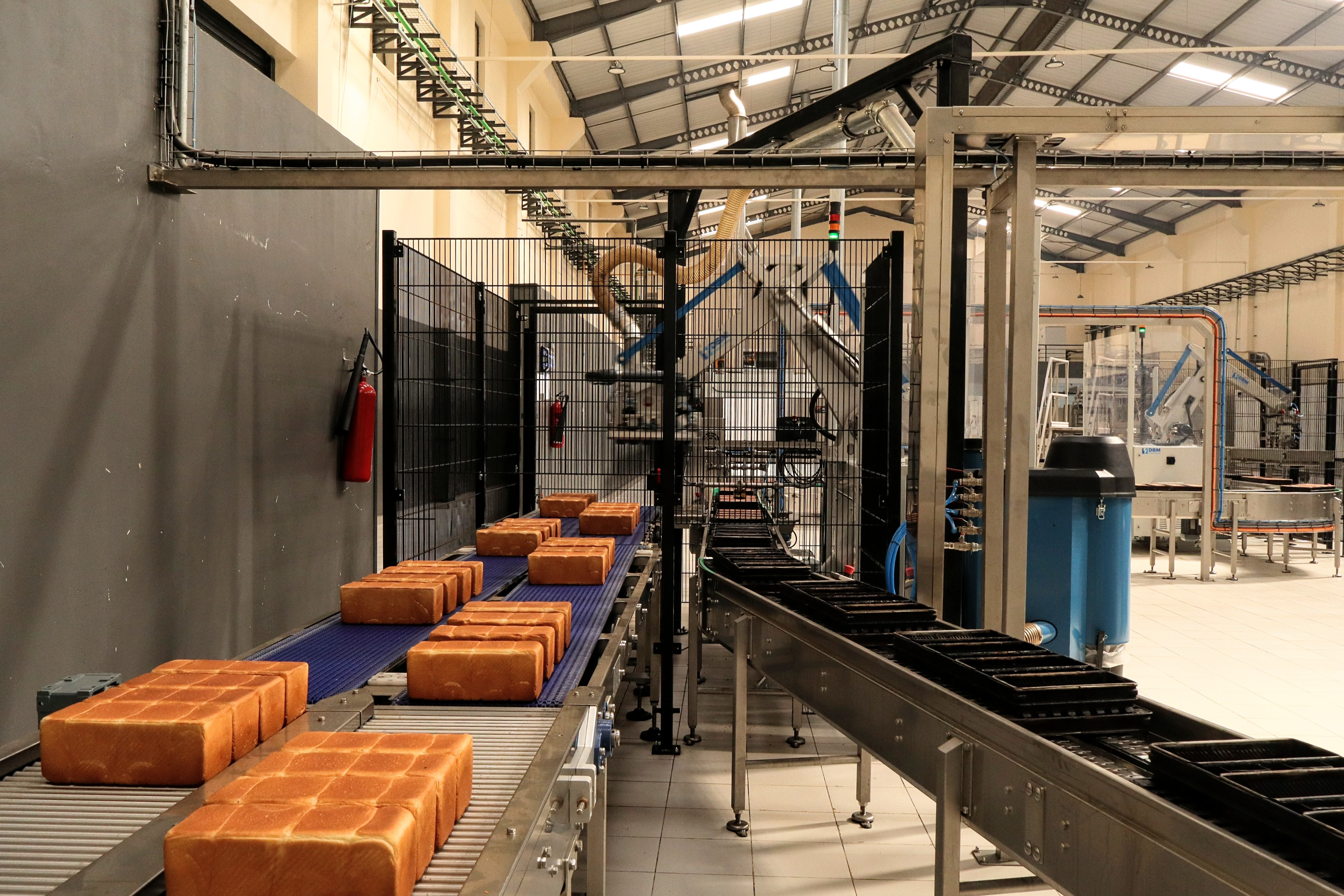 DPL Festive's new production lines 5 and 6 with automated conveyor systems